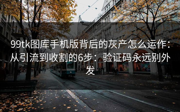 99tk图库手机版背后的灰产怎么运作：从引流到收割的6步：验证码永远别外发
