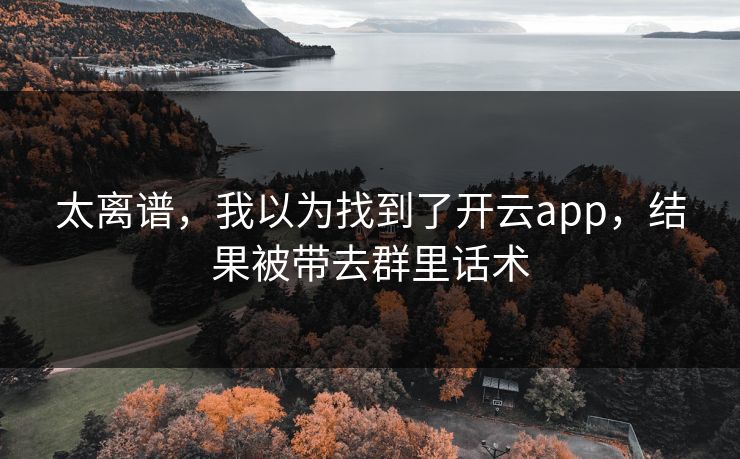 太离谱，我以为找到了开云app，结果被带去群里话术