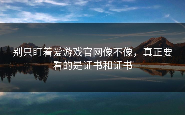 别只盯着爱游戏官网像不像，真正要看的是证书和证书