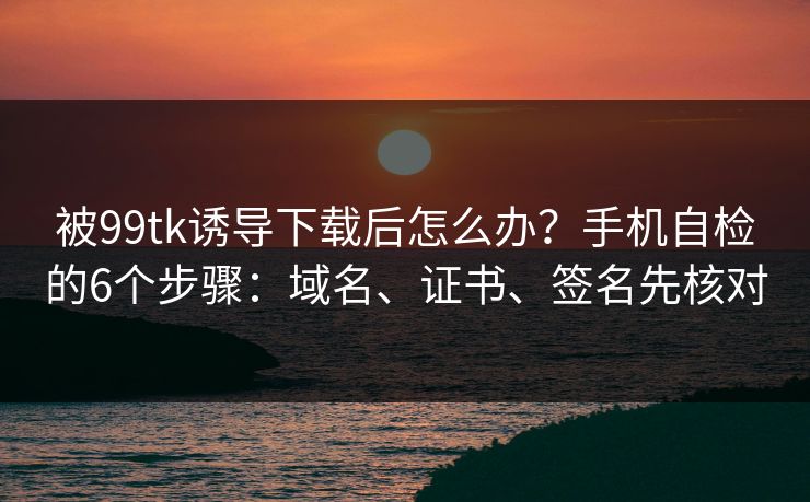 被99tk诱导下载后怎么办？手机自检的6个步骤：域名、证书、签名先核对